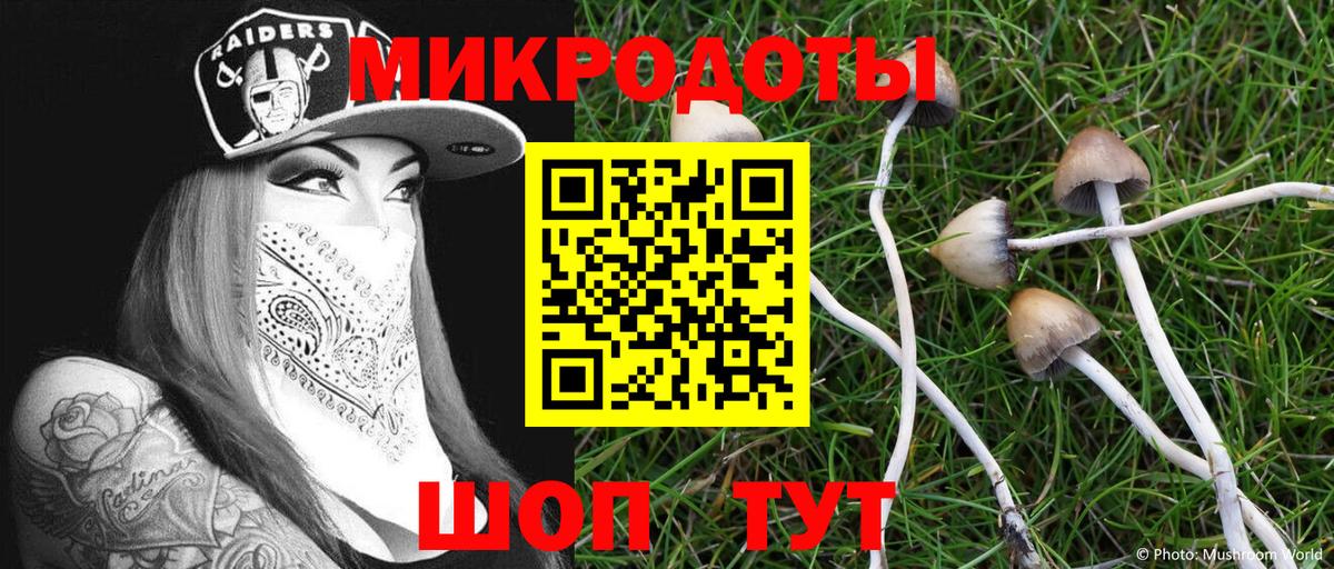 Псилоцибиновые грибы MAGIC MUSHROOMS Белебей