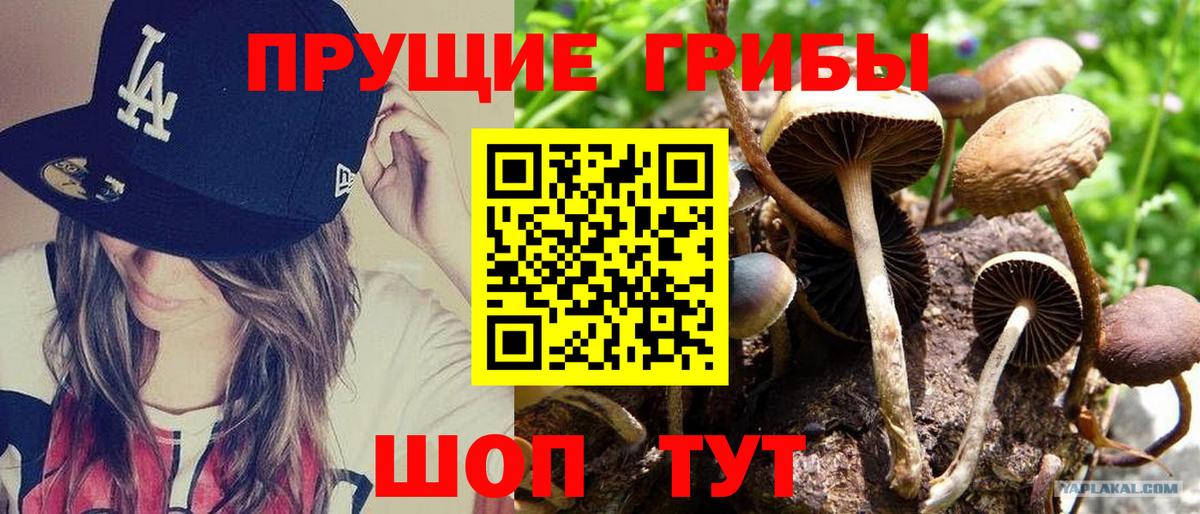 Белебей  Галлюциногенные грибы ЛСД  Вход с VPN 